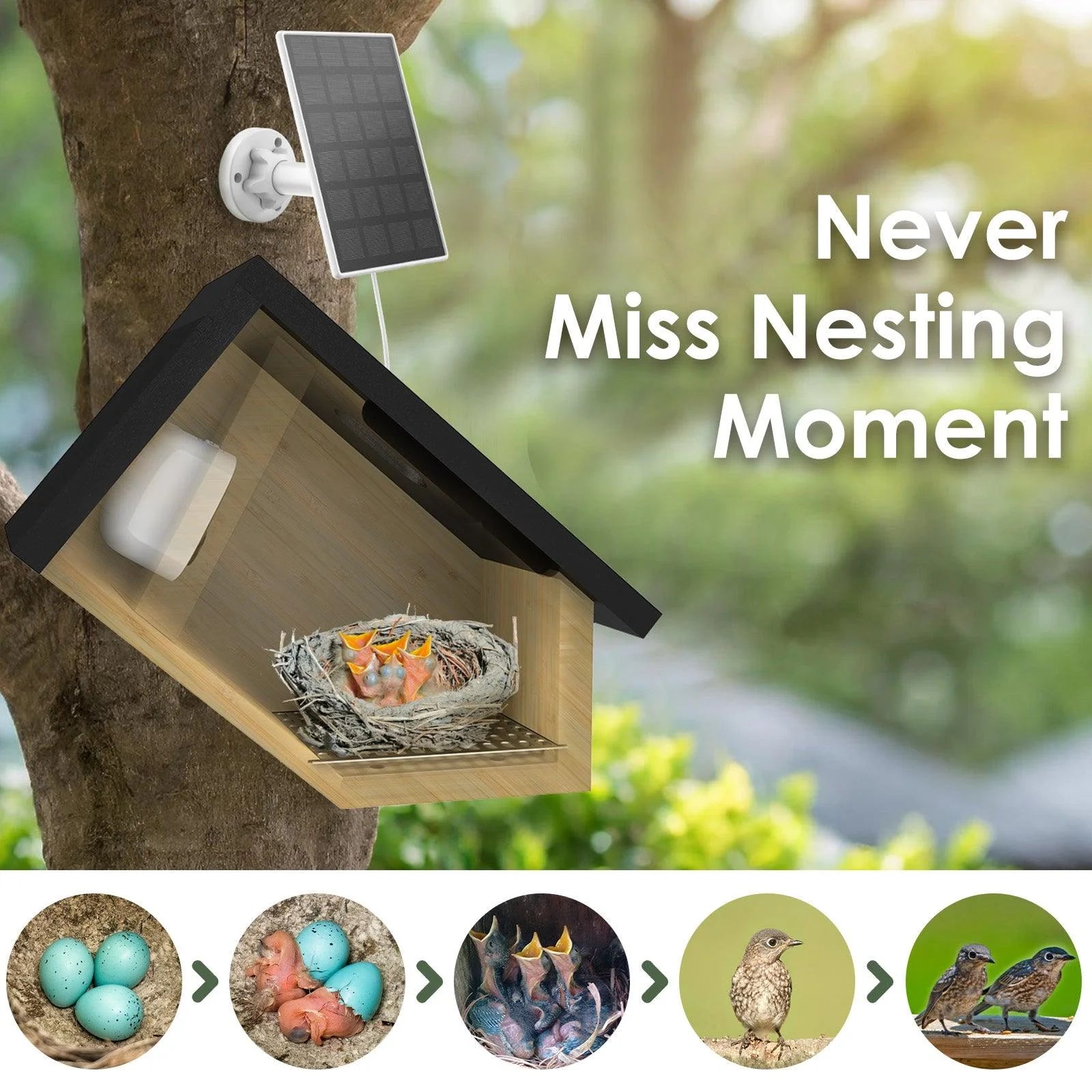 Smart Bird House with Camera